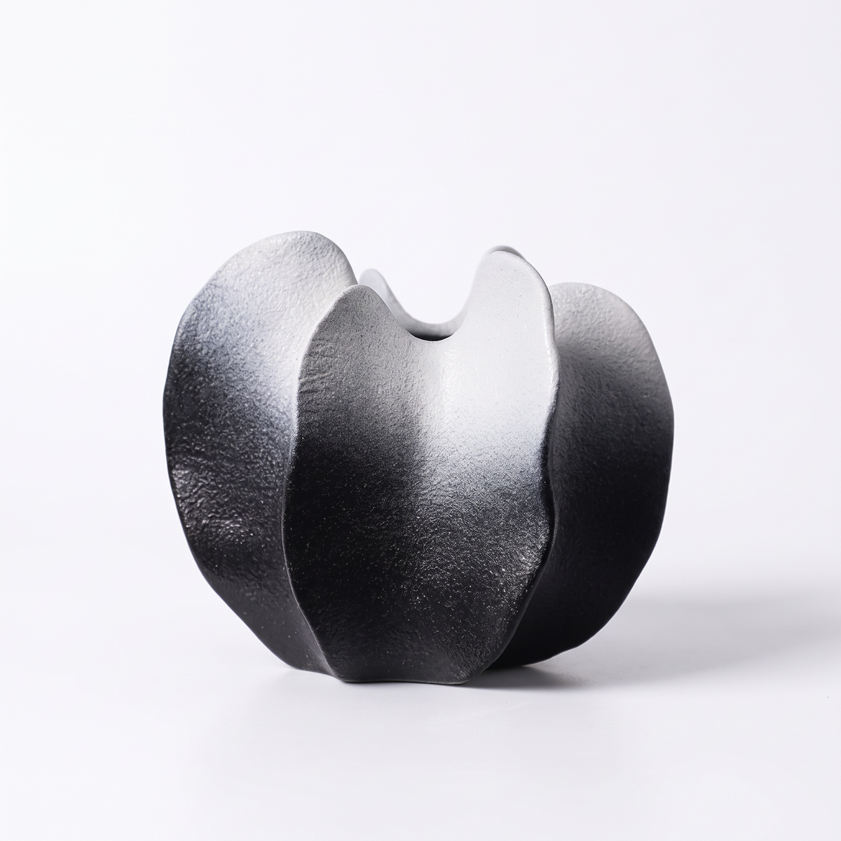 Ribbed carambola ceramic vase – Petal – Black & White, on a white background